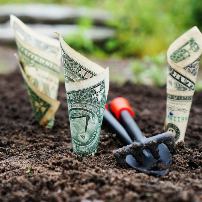 Start an emergency fund in a no-fee savings account so unexpected expenses don't cause you to go into debt.