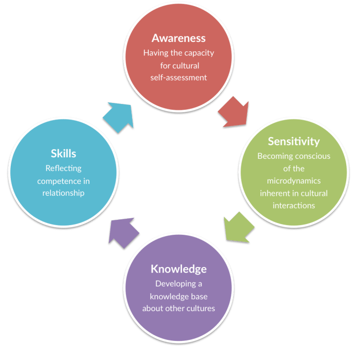 A Simple Guide to Cultural Competence - ToughNickel