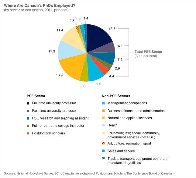 5-reasons-why-phds-are-worth-hiring