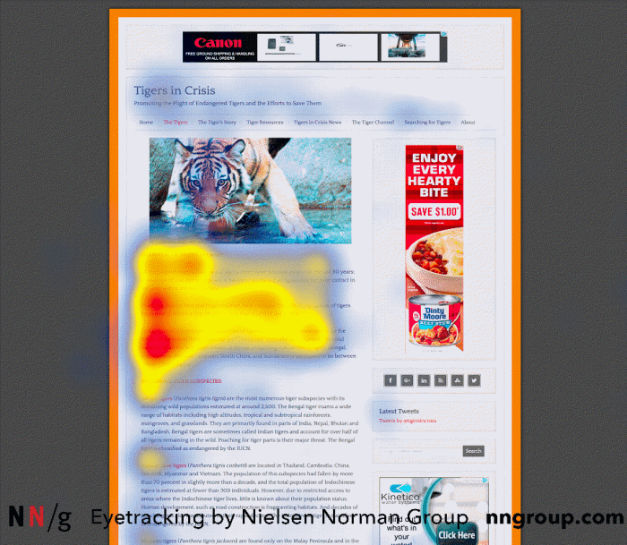 Heatmap of aggregated data from 47 participants and their eye-fixations, which follows an F-shaped pattern.