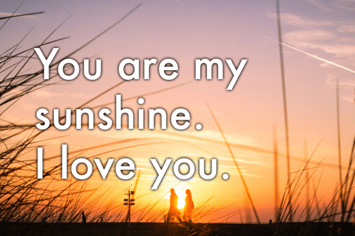 Eres mi sol. Te quiero.