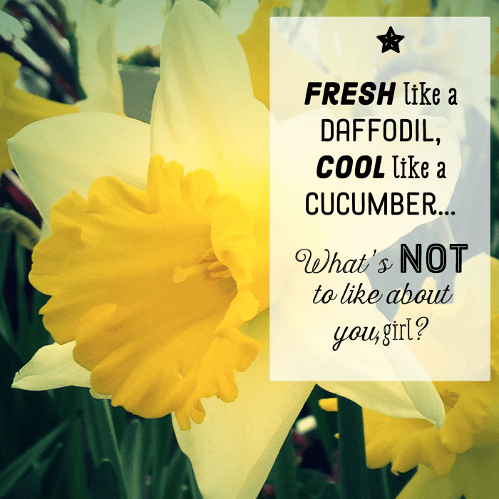 An original poem that says 'I like you': Fresh like a daffodil, cool like a cucumber—what's not to like about you, girl?