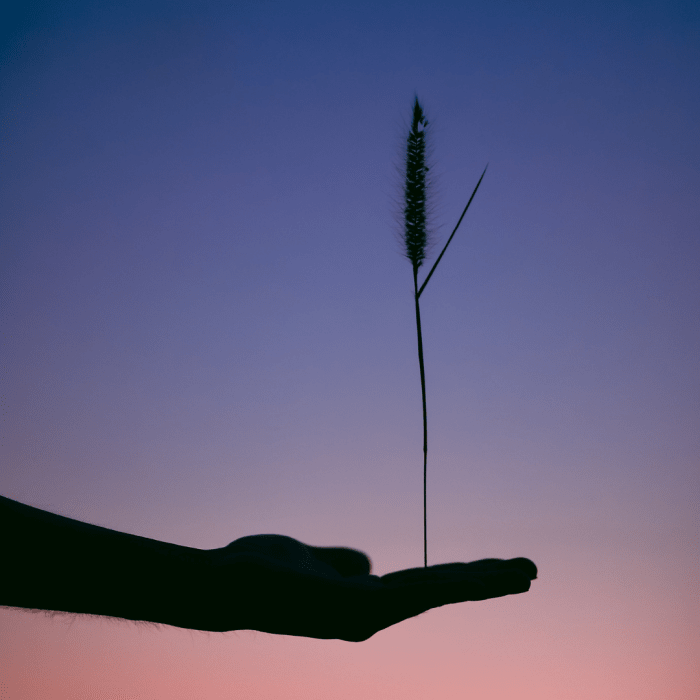 Balance is essential to a healthy Libra-Aquarius relationship. Neither sign can get its way all the time, so find ways to compromise and use your differences to strengthen your bond.