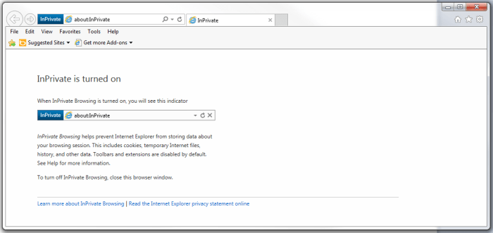 Figure 3. Once you've activated InPrivate browsing in the toolbar, this webpage will confirm that the feature is turned on.