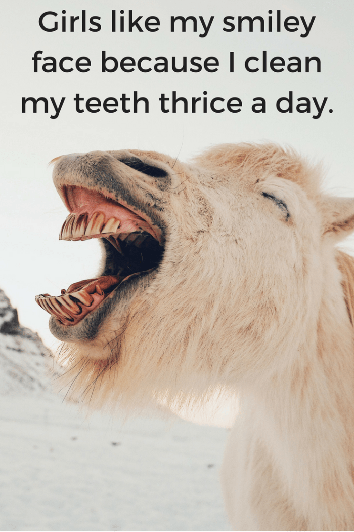 Funny and Cute Instagram Captions for Selfies - TurboFuture - Technology