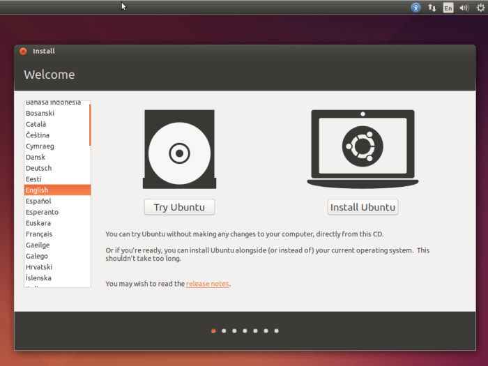 Try or install? Once the system is booted from USB-stick you are asked if you just want to try out a live session or if you want to install the system.
