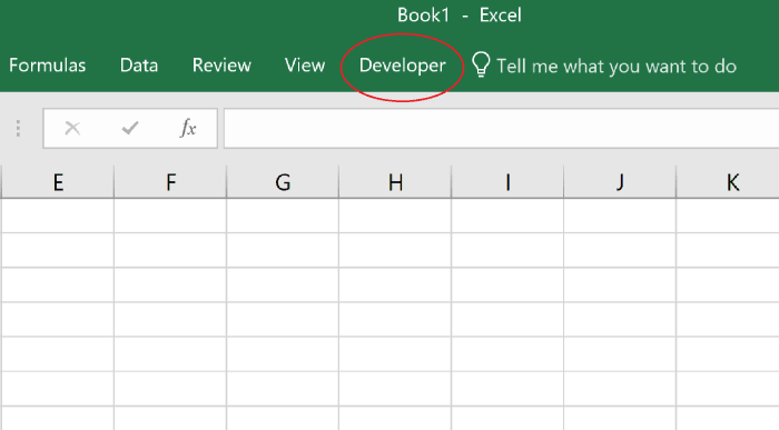The developer tab is not displayed in your Excel program by default. Adding the developer tab opens the door to working with macros, XML, and add-ins.