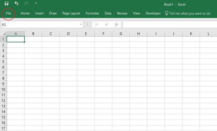 The illustration shows a Microsoft Excel worksheet with a red circle that indicates where the File tab is located.