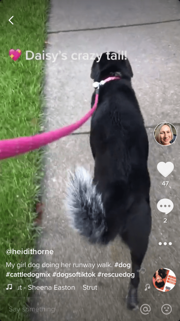 A screenshot of a post I did on TikTok. Notice how simplistic the interface is.