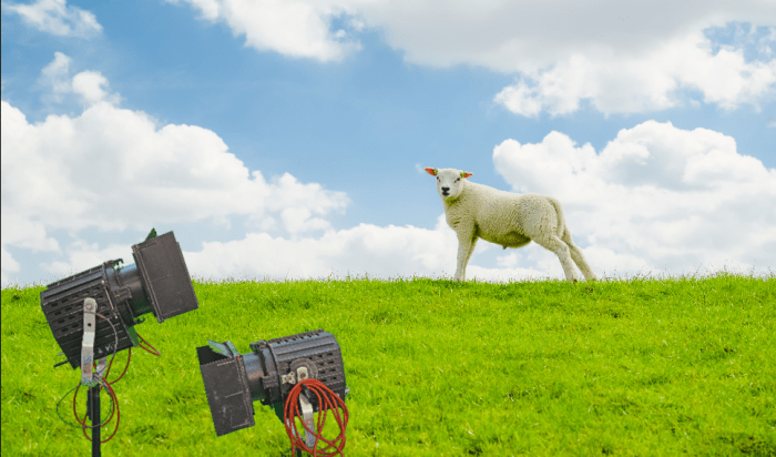 Notice, this is the picture of studio light projectors from the beginning of the article, but the green background has been replaced