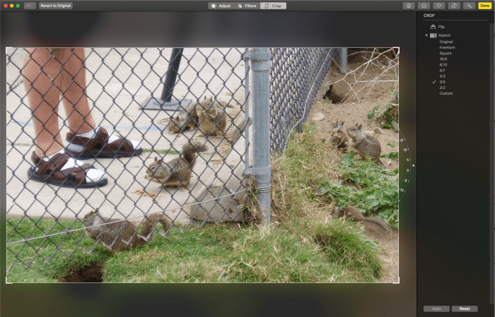 Here is a screenshot of the Photos editor, after you've clicked on "Crop." Here I will check to make sure the fence post is straight, resize the photo to 3x5", and make the frame smaller, if I want to zoom in on particular features.