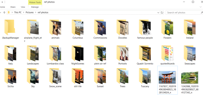 The reference photo folder in my laptop has several sub-folders that keep images organized by subject.