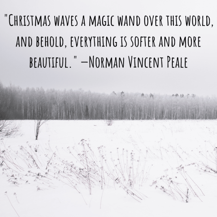 "Christmas waves a magic wand over this world, and behold, everything is softer and more beautiful." —Norman Vincent Peale