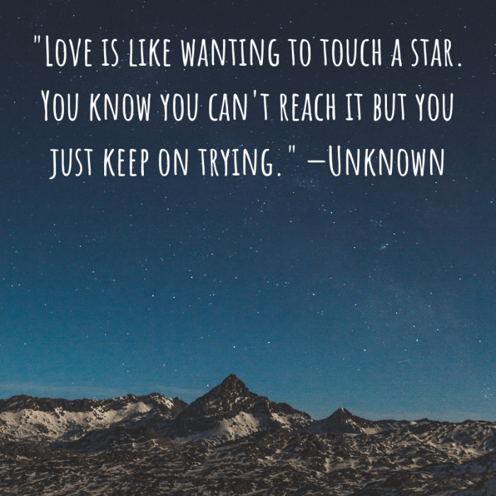 "Love is like wanting to touch a star. You know you can't reach it but you just keep on trying." —Unknown