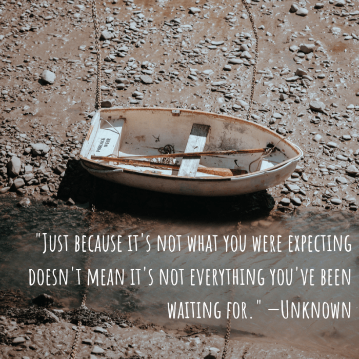 "Just because it's not what you were expecting doesn't mean it's not everything you've been waiting for." —Unknown