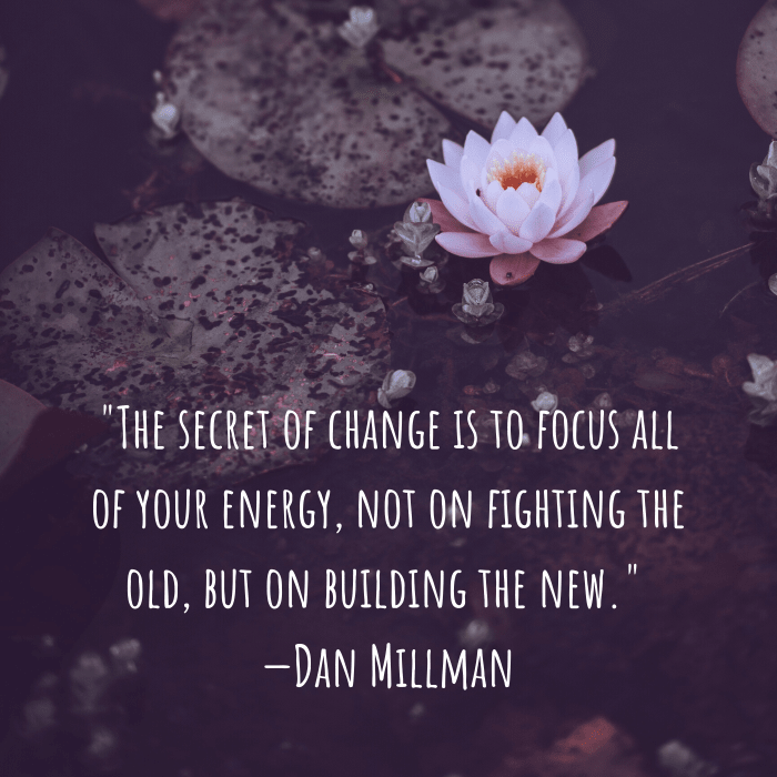 "The secret of change is to focus all of your energy, not on fighting the old, but on building the new." —Dan Millman