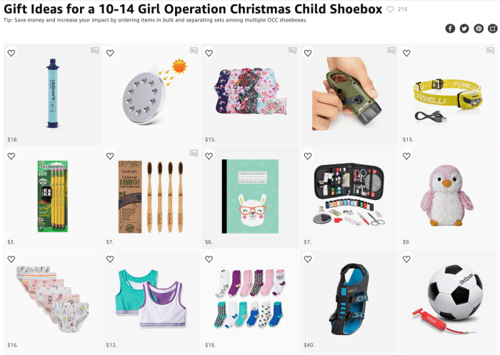 Short on time? My Amazon Idea List has everything you need to pack a life-changing OCC shoebox in one place. Click SOURCE or the link above to view my list!