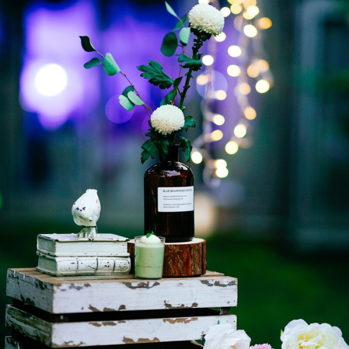 Why pay for decorations? Just grab some houseplants and shabby-chic ephemera from around the house and voila!