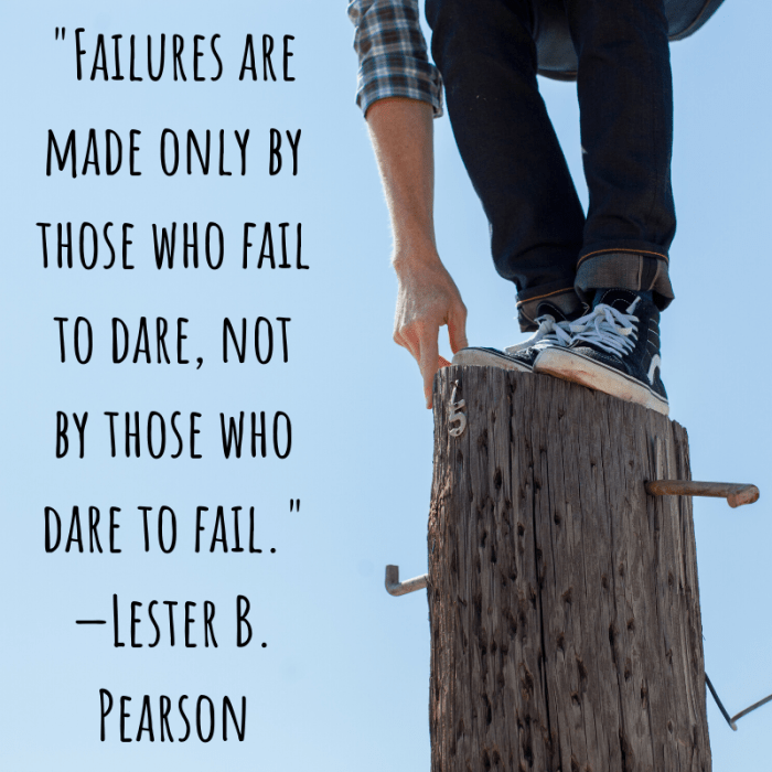 "Failures are made only by those who fail to dare, not by those who dare to fail." —Lester B. Pearson