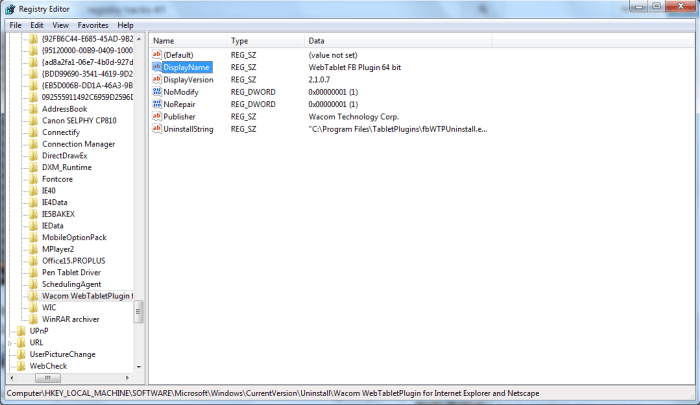 Windows Registry display name.