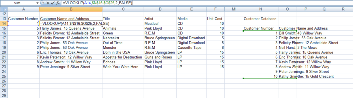 VLOOKUP formula in Excel 2007 and Excel 2010 fetching customer's details from the Customer database.