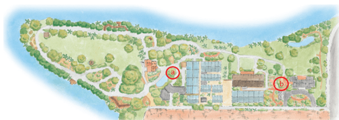 a) is the Epiphyte Garden Oak Grove -- a garden featuring epiphytic plants growing in native oaks and b) is the Bromeliad Garden