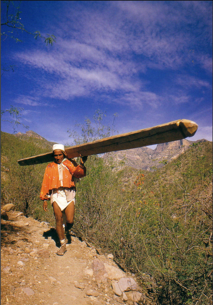 Walking or running is often the Tarahumara Indians' preferred form of transportation in their rugged homeland.