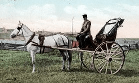 If you dream about a carriage rather than a car, consider whether you might be clinging to nostalgia.