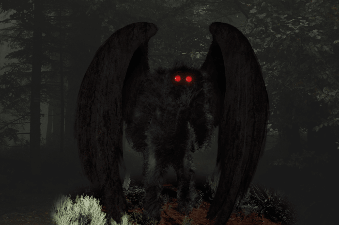 Mothman sightings are most often reported in remote wooded areas.