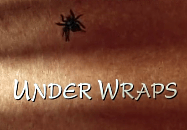 "Under Wraps", Disney Channel, 1997