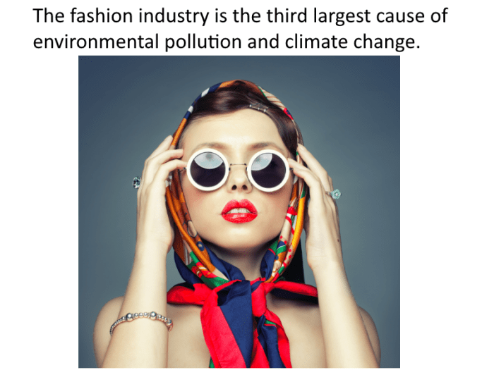 It’s safe to say that most people don’t even realize that fast fashion is an environmental problem. Most people don’t know that slaves (yes slaves, and mostly women and children at that) made their cheap crappy clothes.