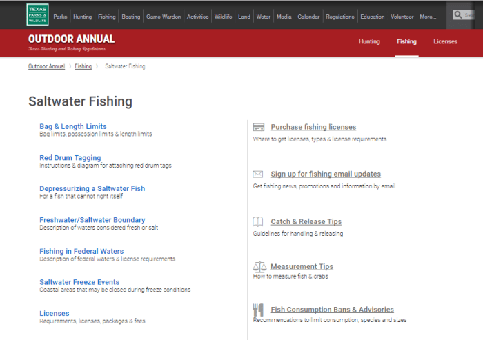 TPWD's Saltwater Fishing Regulations retrieved from http://tpwd.texas.gov/regulations/outdoor-annual/fishing/saltwater-fishing/