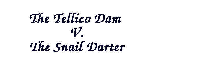 The Supreme Court Ruled That The Survival Of The Little Fish Outweighed The Costs And Needs Of The Tellico Dam