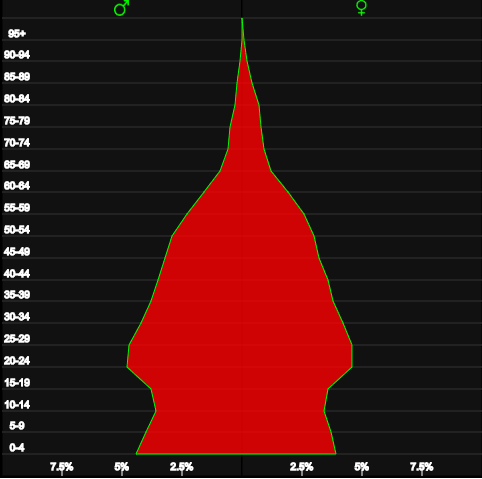 The age pyramid of Vietnam became narrower at the bottom in 2015, indicating clear changes in the country’s age structure