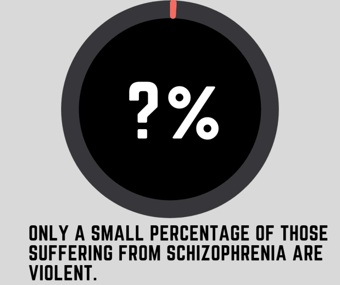 While only a small percentage of people diagnosed with schizophrenia are prone to violence. De-escalating tension when someone suffering from the illness becomes violent can be very tricky.