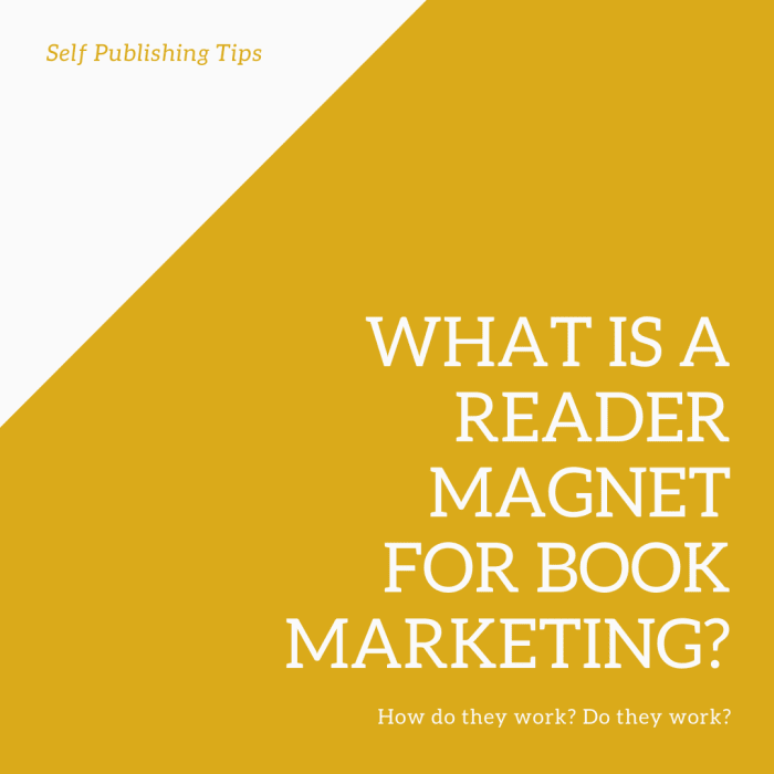 What are reader magnets? How do they work for book marketing? Do they work?