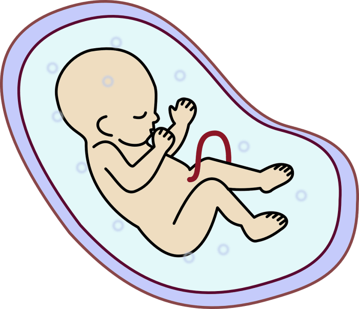 ...is for all to value life as sacred, to honor and protect at all cost the unborn, elderly and infirm.