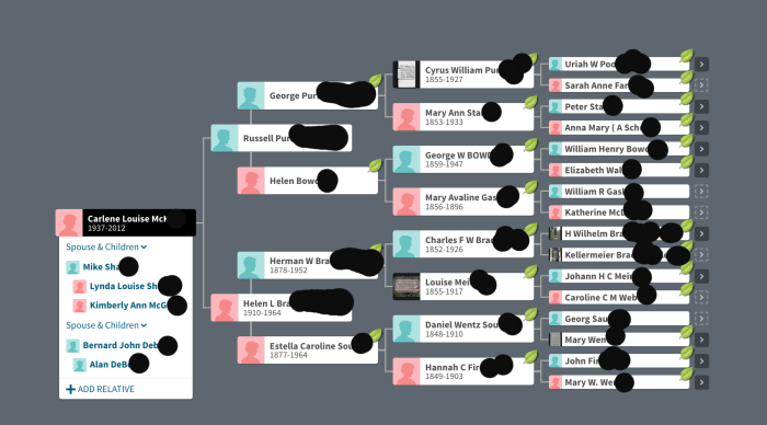 It has not been determined if all of these ancestors are 100% accurate but many Shared Ancestor Hints came from these names. The tree does go back further generations but it was not possible to show that view on one screen.