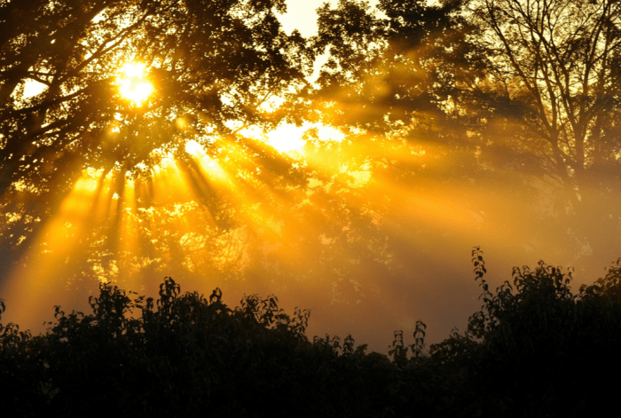 The past shines a light on the treatment that your parents, their parents, and their ancestors received.