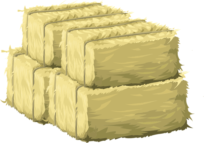 In my "hay day," hay was always baled into square cubes and stored into barns for feeding the livestock.