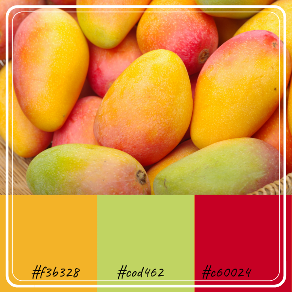 Download Color Combinations Inspired by Fruits - TurboFuture ...