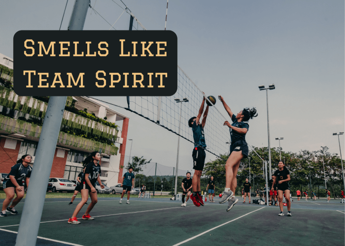 Smells Like Team Spirit is an homage to the Nirvana song "Smells Like Teen Spirit." This would be a great name for a team from Seattle, Aberdeen, or elsewhere in Washington.
