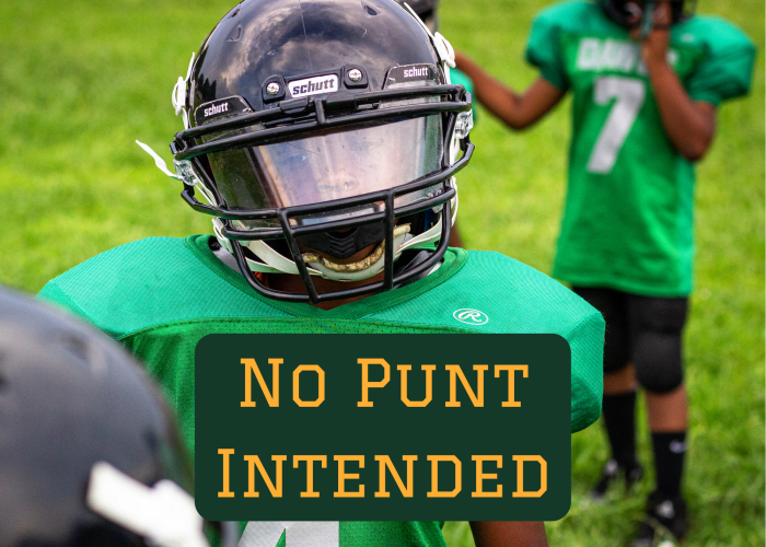 A good team name can lead to great chants, excited fans, and even a cool mascot or logo for team apparel.