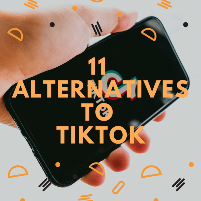 There are many apps on the market that are giving TikTok a run for their money.