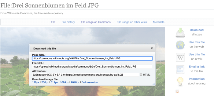 Click the "Use this file on the web" or "Download" to get all of the needed URLs and attribution information in one place.