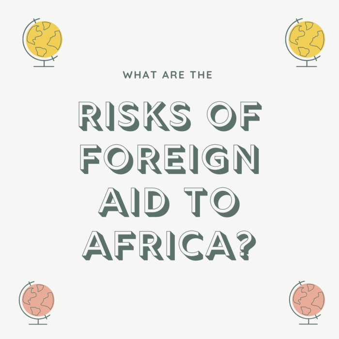 What does humanitarianism look like in the wake of globalization? I believe that stopping reliance on foreign aid would never prevent the exploitation of Africa because aid in itself is covered by the seal of humanitarianism.
