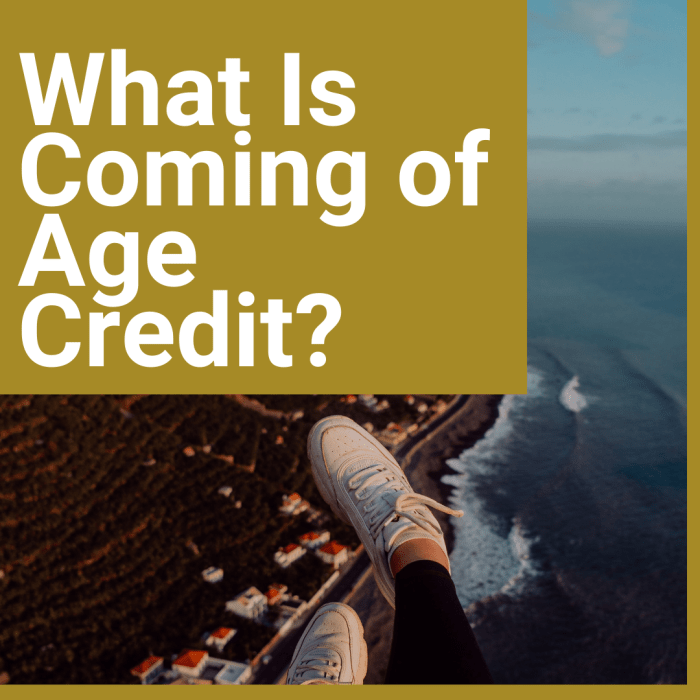 An alternative solution to free tuition, the "coming of age" credit respects the place of non-college options, and the aid they may require.
