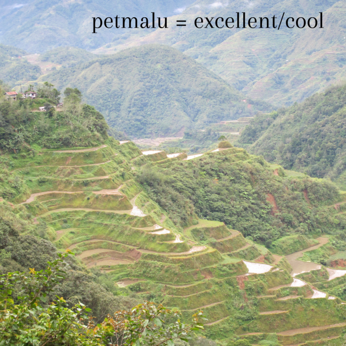 "Petmalu" is a Tagalog slang word that translates to "extreme, exceptional, cool, excellent, or something extraordinary," such as these magnificent rice fields.