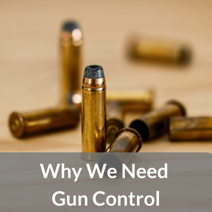 I recently read an article wherein the author compared gun control to restricting access to cars and alcohol. Here is my opinion about those comparisons.