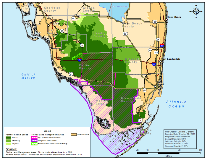 Dark Green - Primary Habitat Light Green - Secondary Habitat Lime Green Slashes - Florida Panther Wildlife Refuge Dark Purple Slashes - Everglades National Park Magenta Slashes- Big Cypress National Preserve